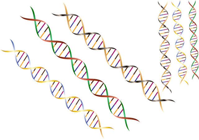 dna